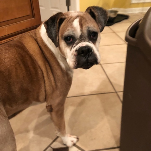 Meet your Posher, Jason - Picture 3 of 5